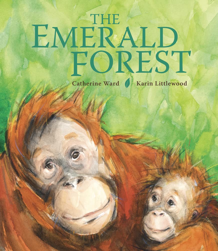 Y2 The Emerald Forest
